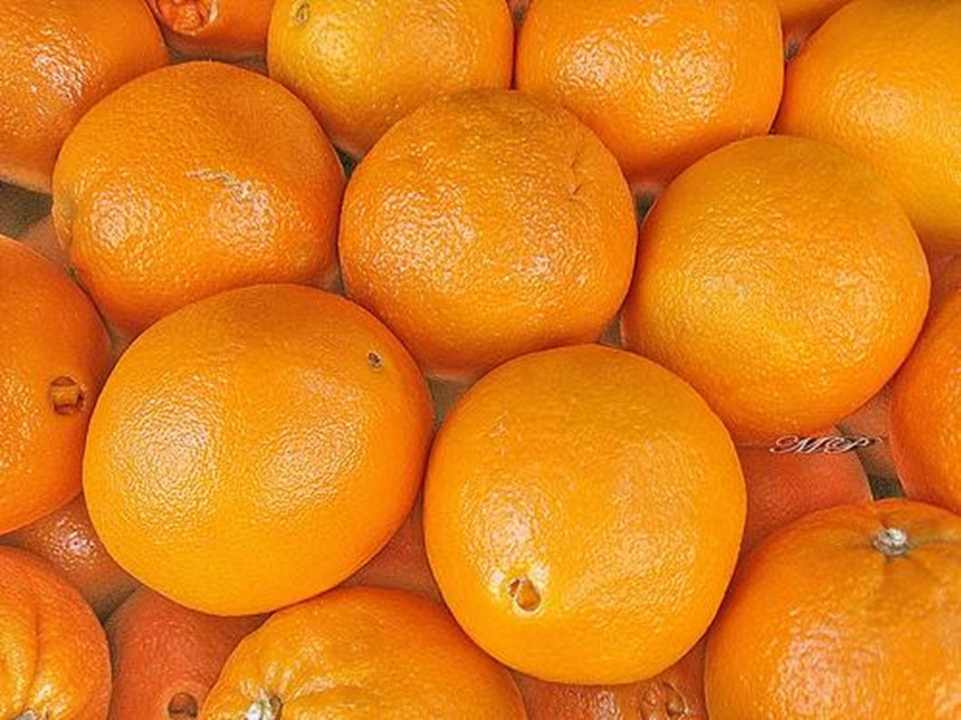 Apfelsinen sind immer orange.