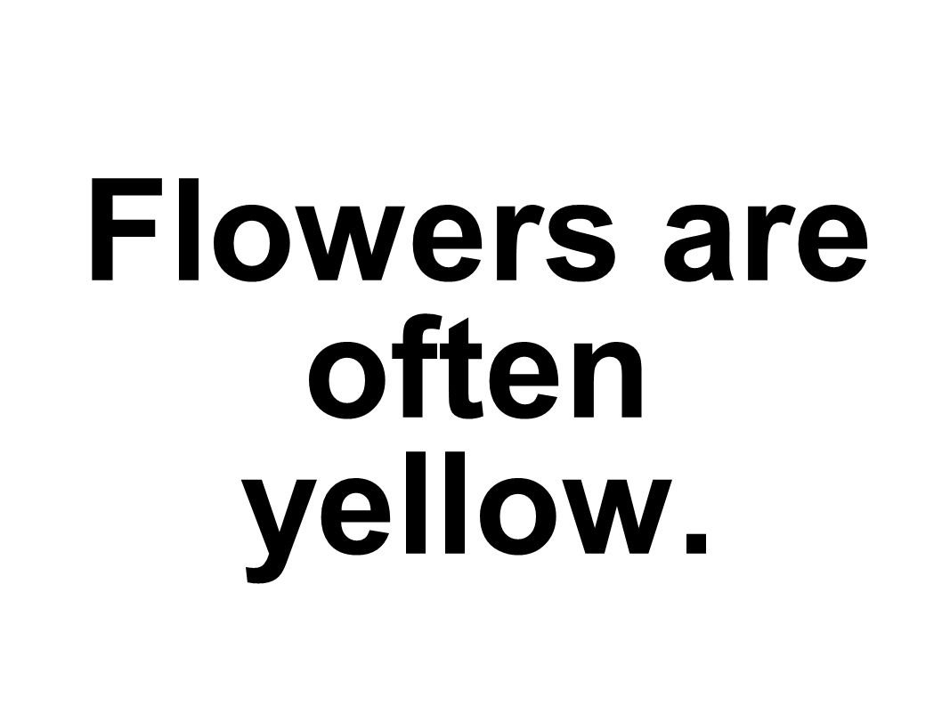 Flowers are often yellow.