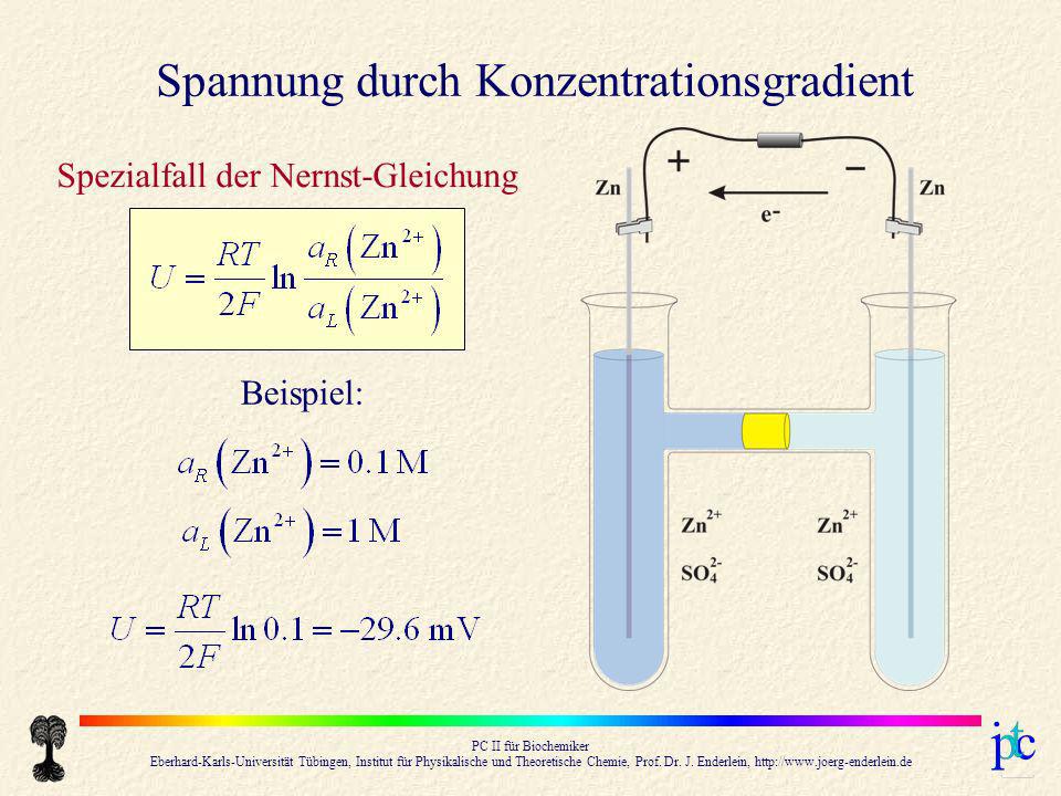 PC II für Biochemiker Eberhard-Karls-Universität Tübingen, Institut für Physikalische und Theoretische Chemie, Prof.