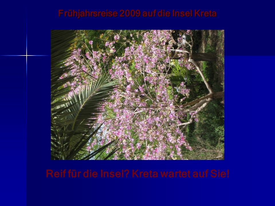 Frühjahrsreise 2009 auf die Insel Kreta Reif für die Insel Kreta wartet auf Sie!