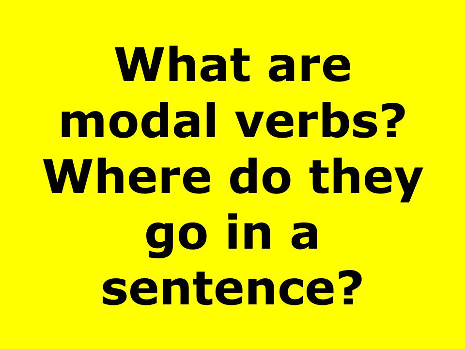 What are modal verbs Where do they go in a sentence