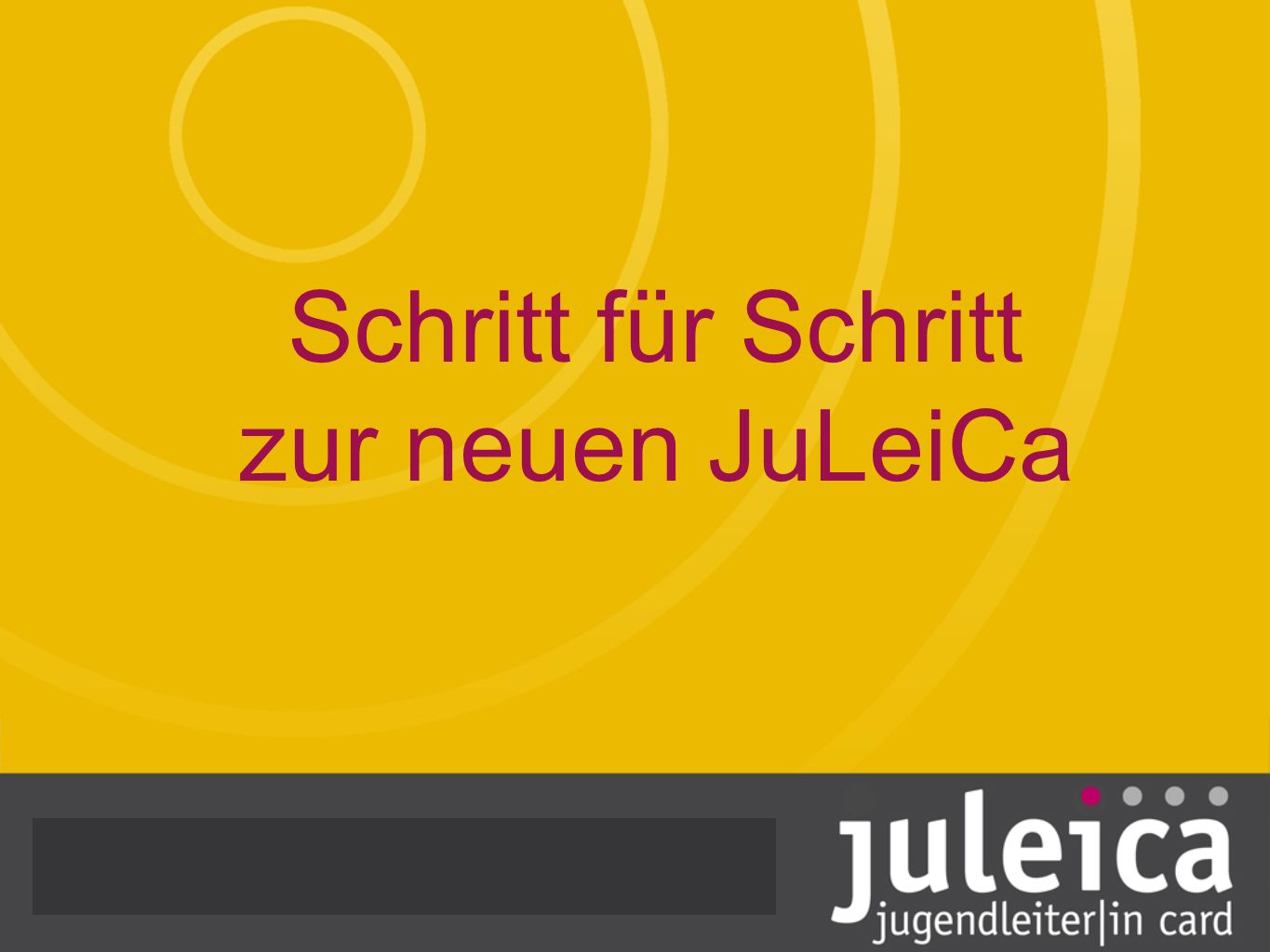 Schritt für Schritt zur neuen JuLeiCa