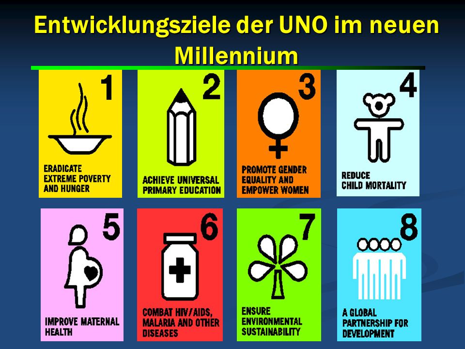 9 9 Entwicklungsziele der UNO im neuen Millennium