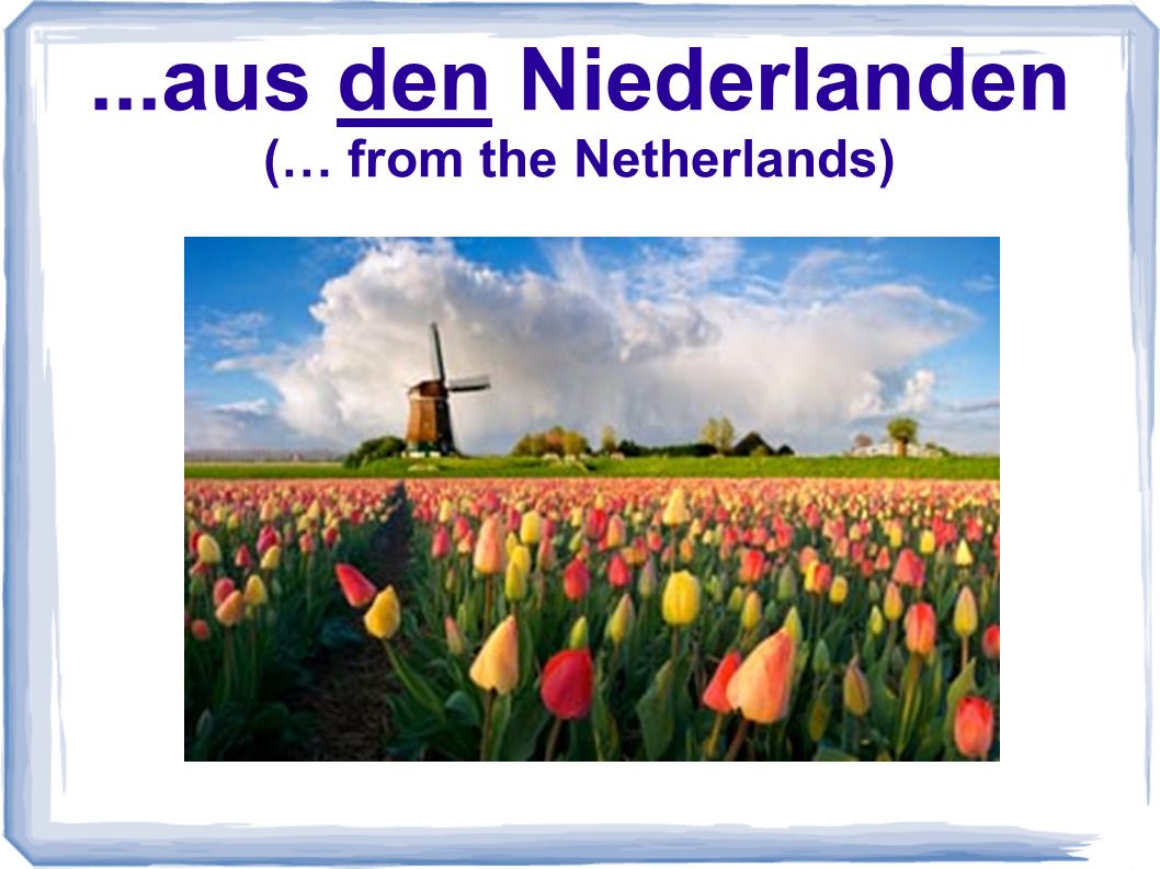 ...aus den Niederlanden (… from the Netherlands)