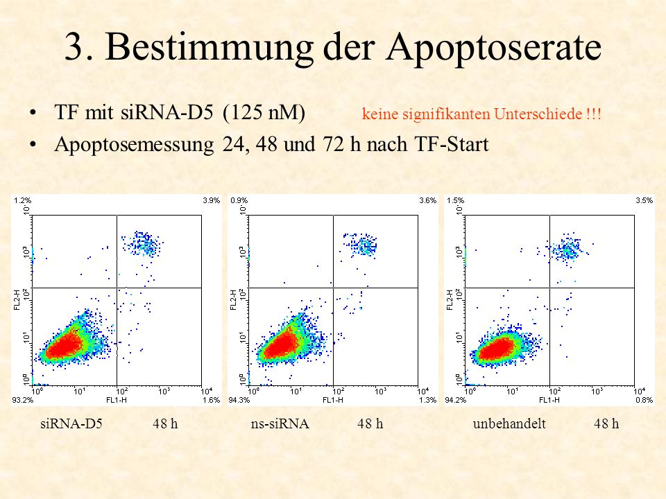 3. Bestimmung der Apoptoserate TF mit siRNA-D5 (125 nM) keine signifikanten Unterschiede !!.