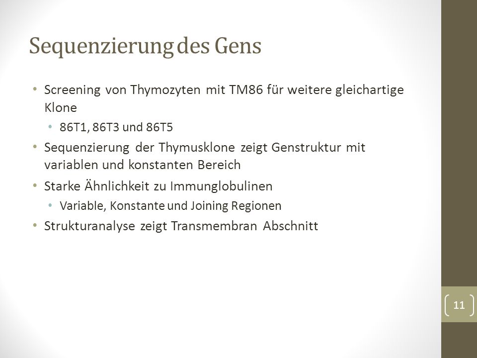 Screening von Thymozyten mit TM86 für weitere gleichartige Klone 86T1, 86T3 und 86T5 Sequenzierung der Thymusklone zeigt Genstruktur mit variablen und konstanten Bereich Starke Ähnlichkeit zu Immunglobulinen Variable, Konstante und Joining Regionen Strukturanalyse zeigt Transmembran Abschnitt Sequenzierung des Gens 11