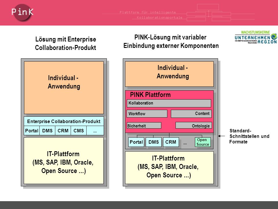 IT-Plattform (MS, SAP, IBM, Oracle, Open Source...) Individual - Anwendung Enterprise Collaboration-Produkt Portal DMS...