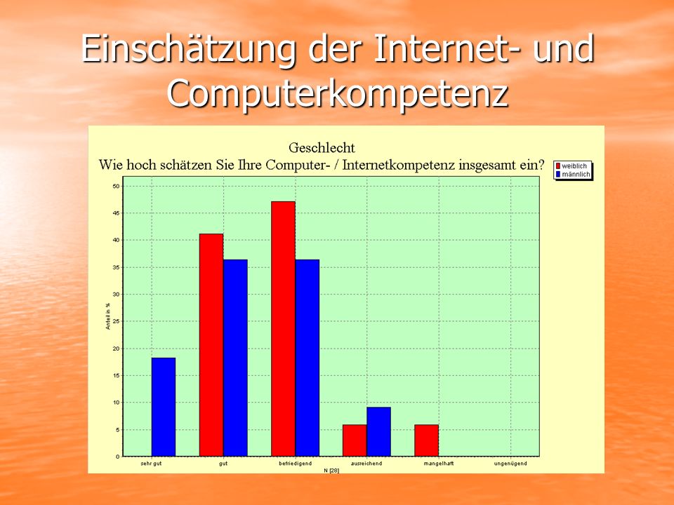 Einschätzung der Internet- und Computerkompetenz