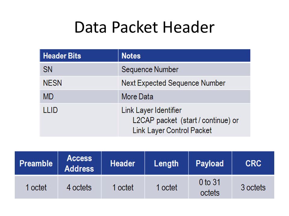 Data Packet Header