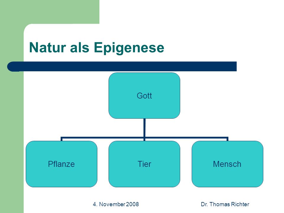 4. November 2008Dr. Thomas Richter Natur als Epigenese Gott PflanzeTierMensch