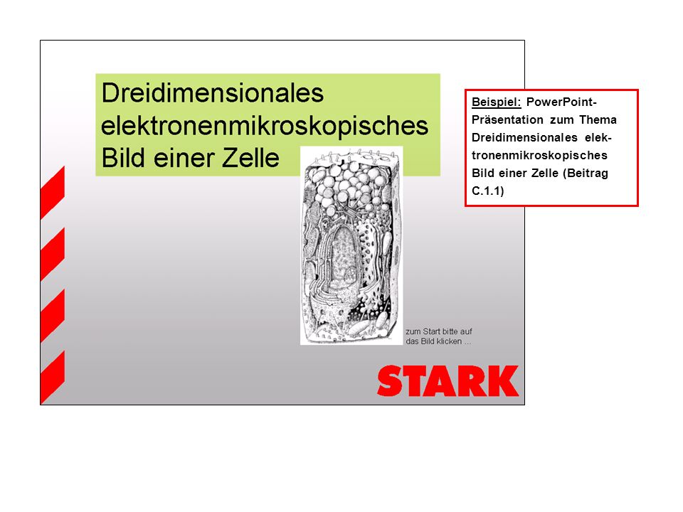 Beispiel: PowerPoint- Präsentation zum Thema Dreidimensionales elek- tronenmikroskopisches Bild einer Zelle (Beitrag C.1.1)