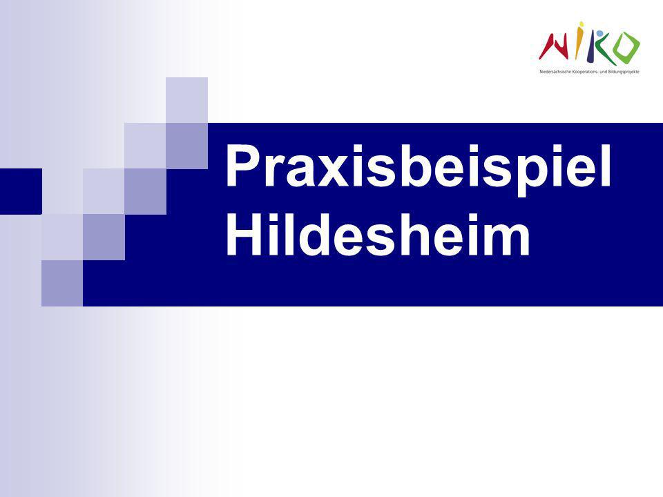 Praxisbeispiel Hildesheim