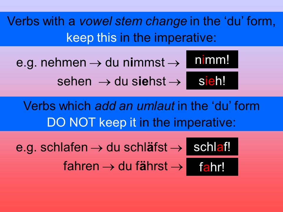 Verbs with a vowel stem change in the du form, e.g.