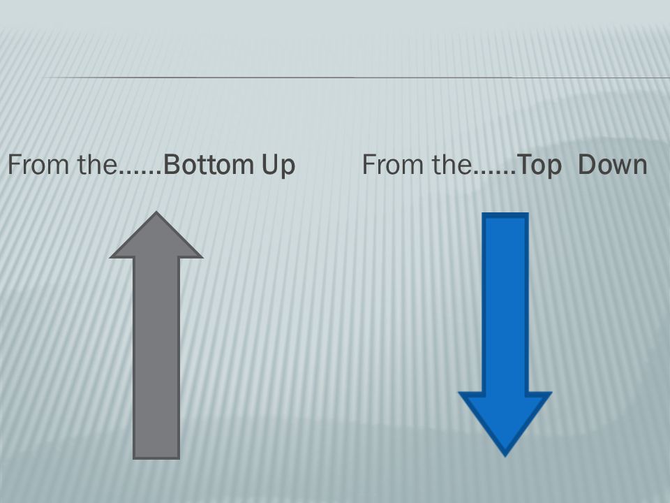 From the……Bottom Up From the……Top Down