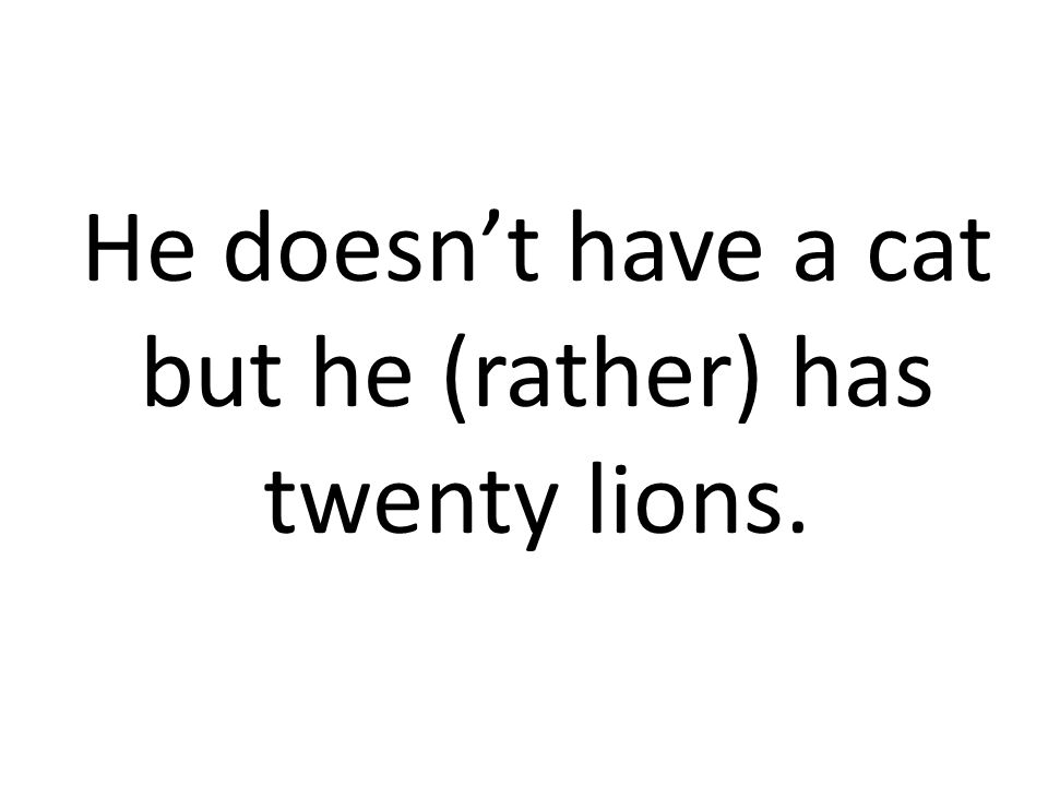 He doesnt have a cat but he (rather) has twenty lions.