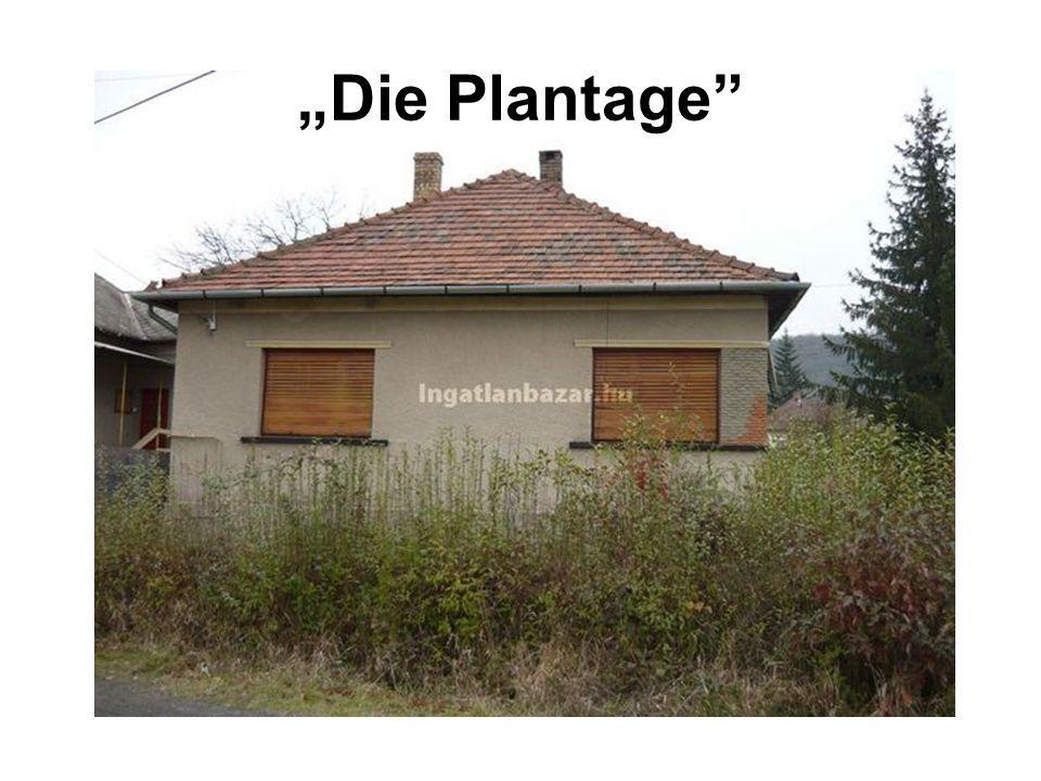 Die Plantage