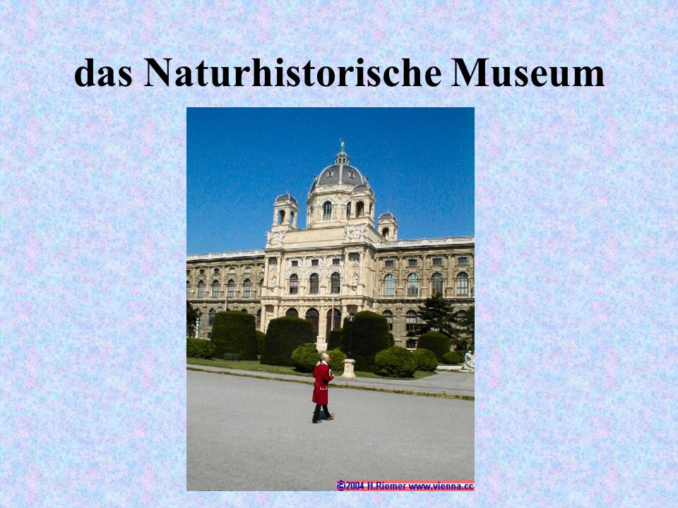 das Naturhistorische Museum