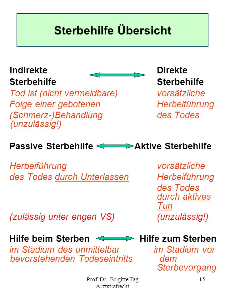 strafverteidiger vergütung