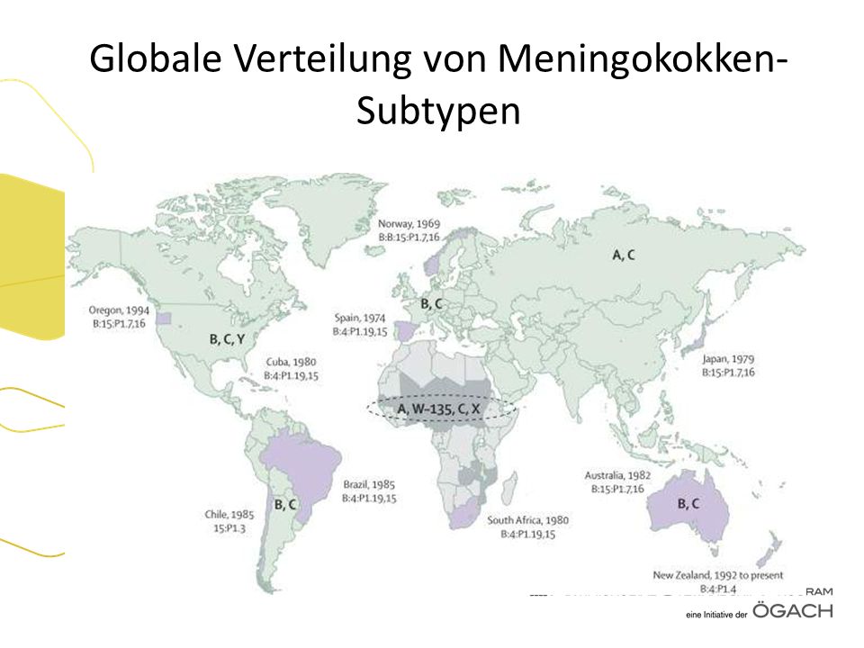 Globale Verteilung von Meningokokken- Subtypen