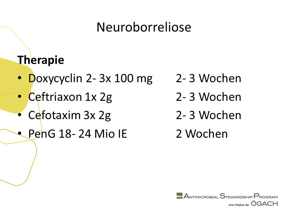 Neuroborreliose Therapie Doxycyclin 2- 3x 100 mg2- 3 Wochen Ceftriaxon 1x 2g 2- 3 Wochen Cefotaxim 3x 2g 2- 3 Wochen PenG Mio IE2 Wochen