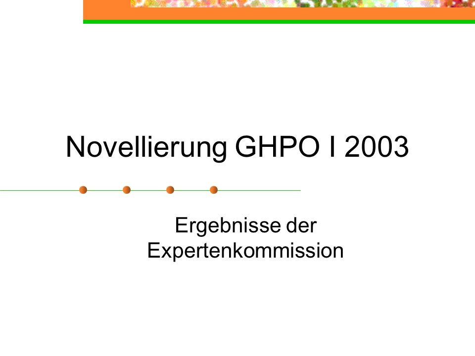 Novellierung GHPO I 2003 Ergebnisse der Expertenkommission