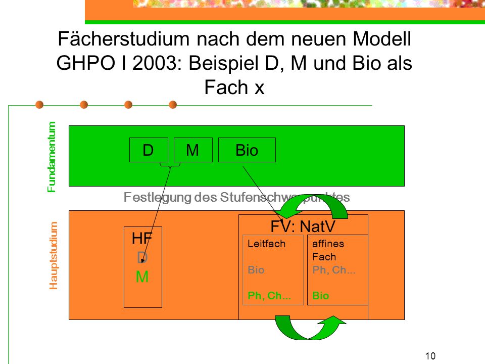 10 Fächerstudium nach dem neuen Modell GHPO I 2003: Beispiel D, M und Bio als Fach x Festlegung des Stufenschwerpunktes Fundamentum Hauptstudium HF D M FV: NatV DMBio affines Fach Ph, Ch...
