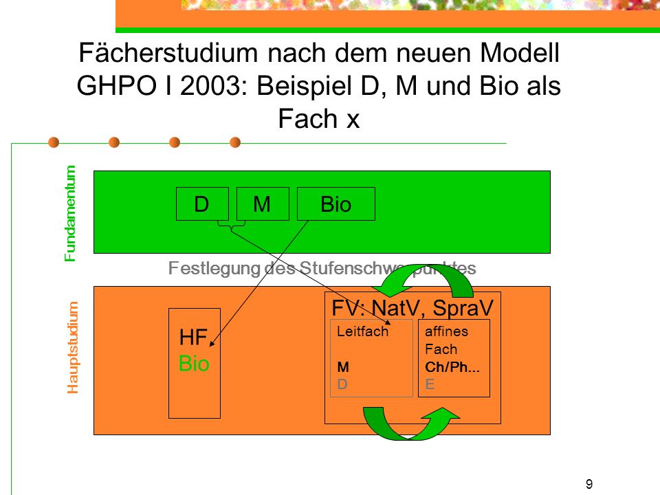 9 Fächerstudium nach dem neuen Modell GHPO I 2003: Beispiel D, M und Bio als Fach x Festlegung des Stufenschwerpunktes Fundamentum Hauptstudium HF Bio FV: NatV, SpraV DMBio affines Fach Ch/Ph...