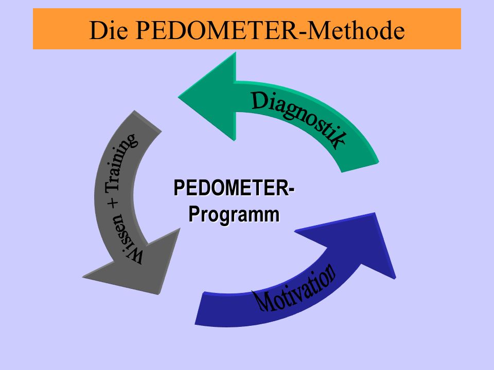 Die PEDOMETER-Methode PEDOMETER-Programm