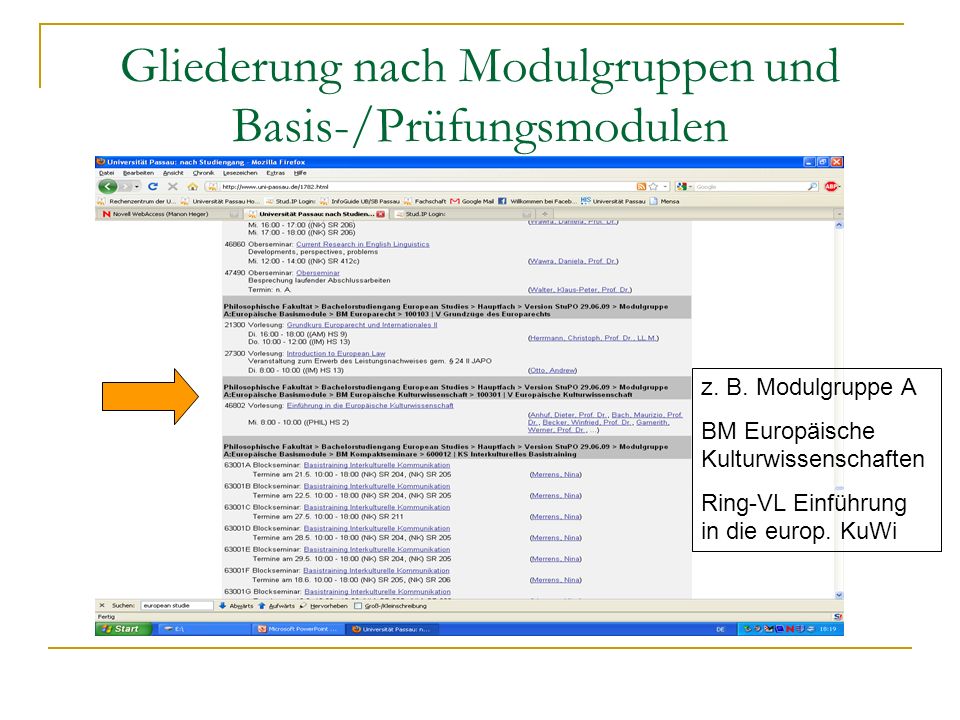 Gliederung nach Modulgruppen und Basis-/Prüfungsmodulen z.