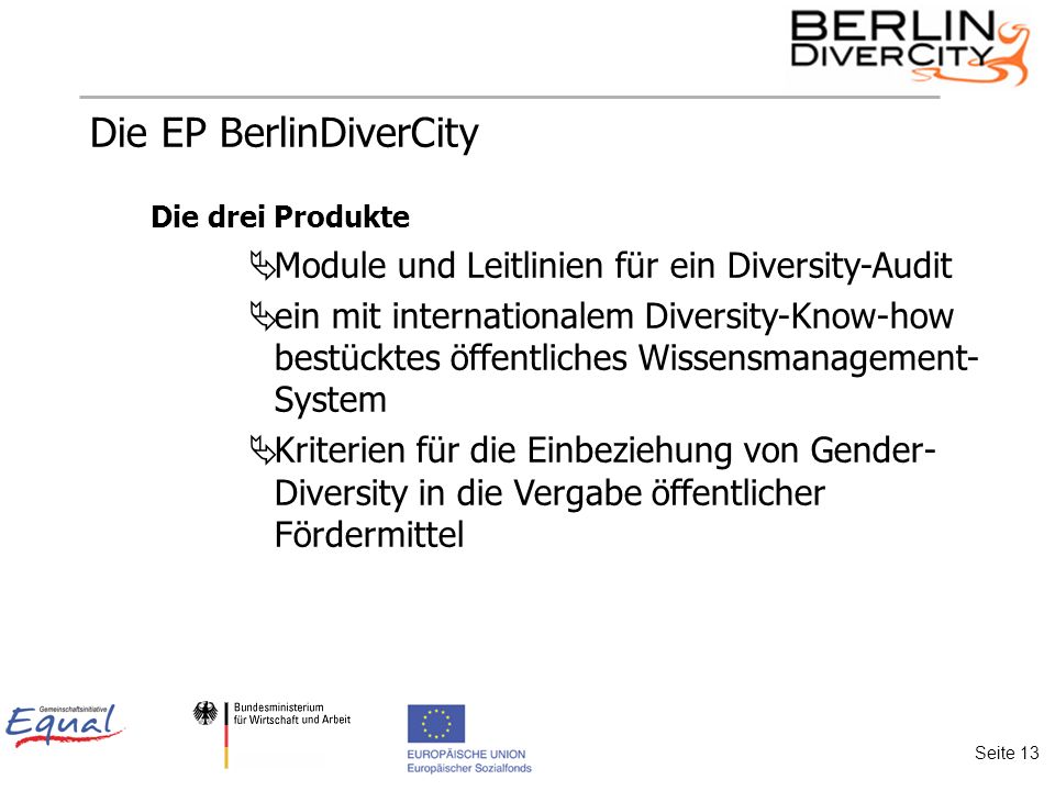 Die EP BerlinDiverCity Die drei Produkte Module und Leitlinien für ein Diversity-Audit ein mit internationalem Diversity-Know-how bestücktes öffentliches Wissensmanagement- System Kriterien für die Einbeziehung von Gender- Diversity in die Vergabe öffentlicher Fördermittel Seite 13