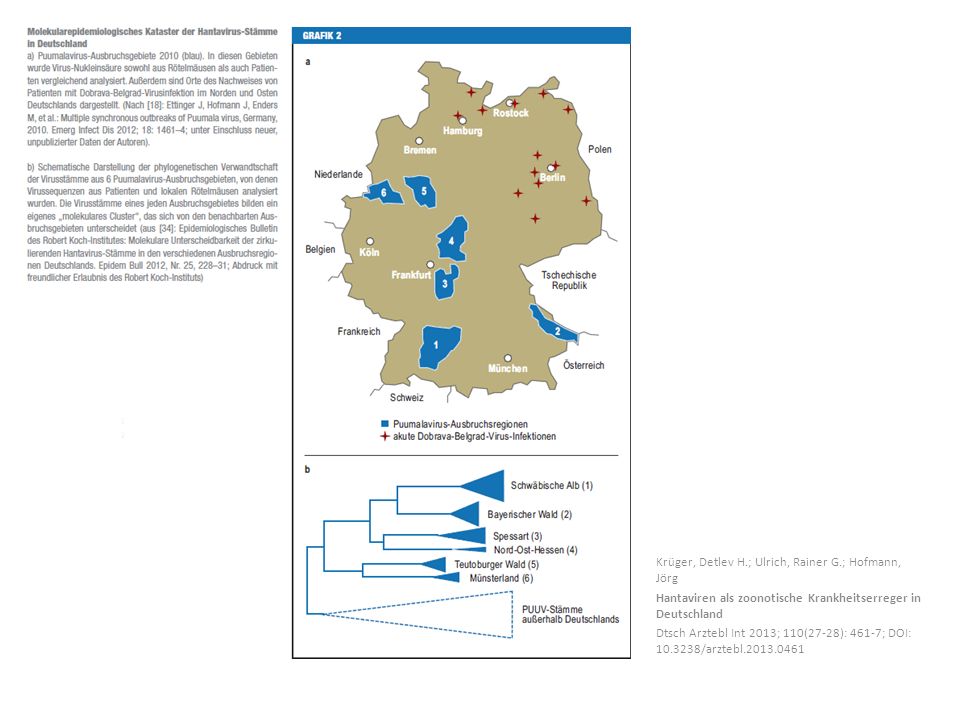 Krüger, Detlev H.; Ulrich, Rainer G.; Hofmann, Jörg Hantaviren als zoonotische Krankheitserreger in Deutschland Dtsch Arztebl Int 2013; 110(27-28): 461-7; DOI: /arztebl