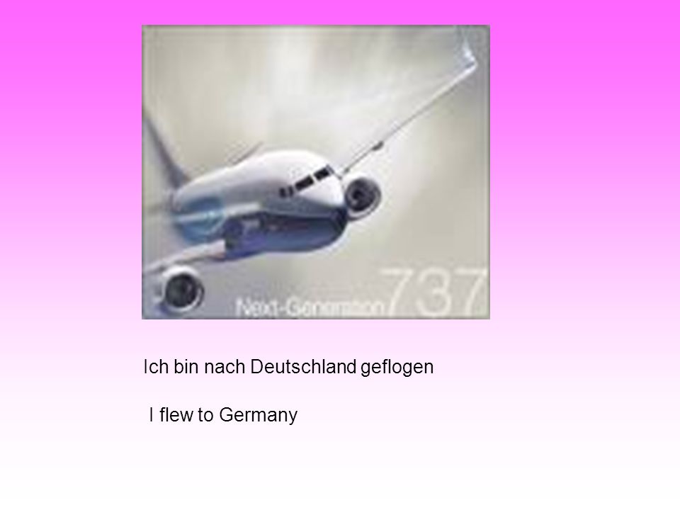 Ich bin nach Deutschland geflogen I flew to Germany