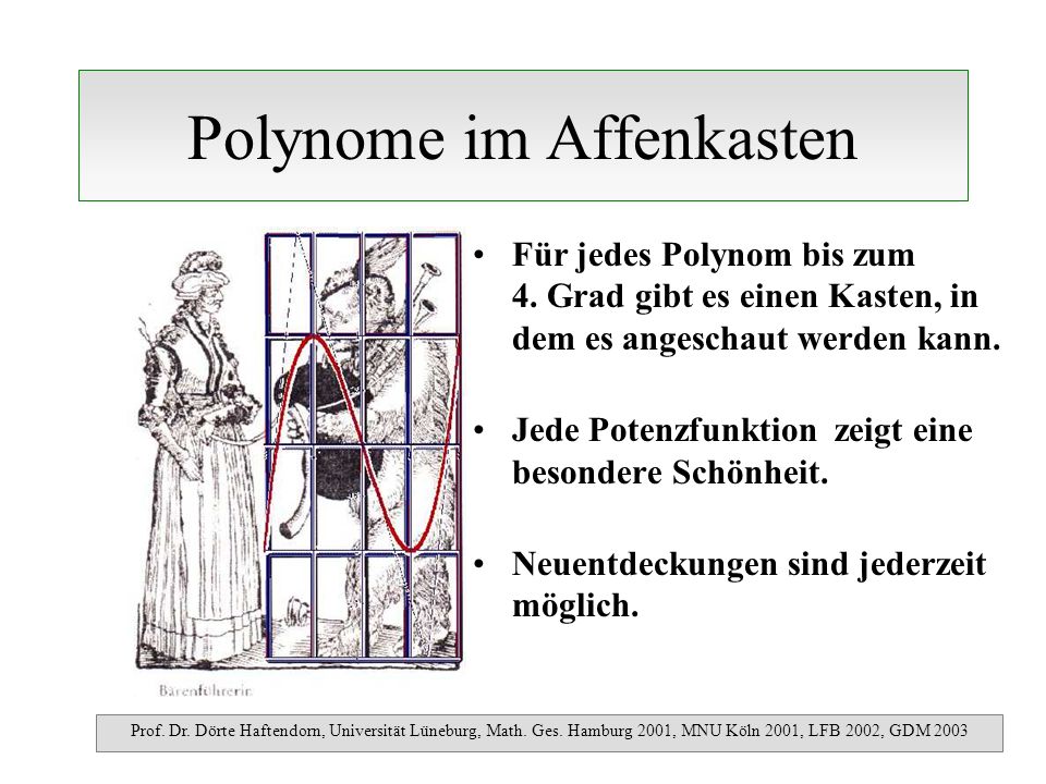 Polynome im Affenkasten Für jedes Polynom bis zum 4.