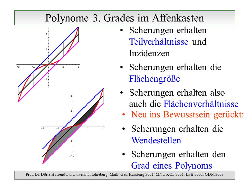 Polynome 3. Grades im Affenkasten Prof. Dr. Dörte Haftendorn, Universität Lüneburg, Math.