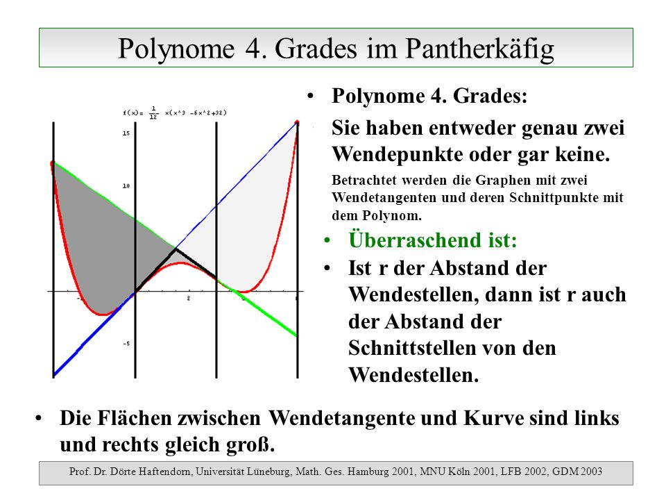 Polynome 4. Grades im Pantherkäfig Prof. Dr. Dörte Haftendorn, Universität Lüneburg, Math.