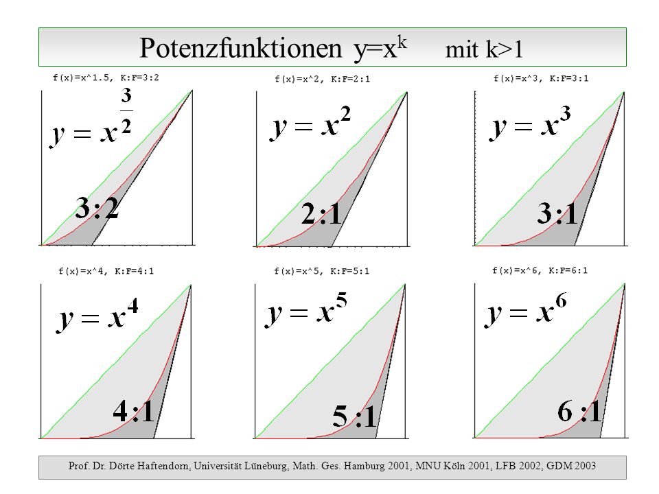 Potenzfunktionen y=x k mit k>1 Prof. Dr. Dörte Haftendorn, Universität Lüneburg, Math.