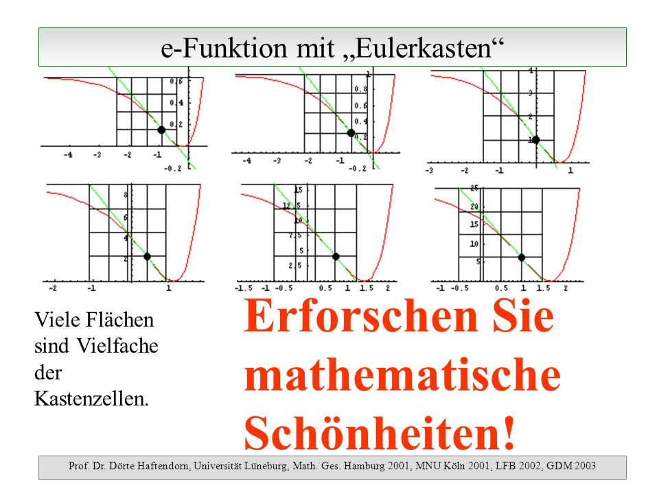 e-Funktion mit Eulerkasten Prof. Dr. Dörte Haftendorn, Universität Lüneburg, Math.