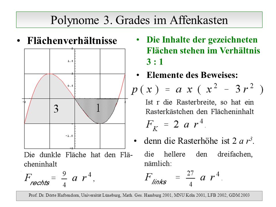 Polynome 3. Grades im Affenkasten Prof. Dr. Dörte Haftendorn, Universität Lüneburg, Math.