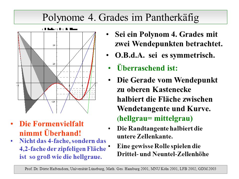 Polynome 4. Grades im Pantherkäfig Prof. Dr. Dörte Haftendorn, Universität Lüneburg, Math.