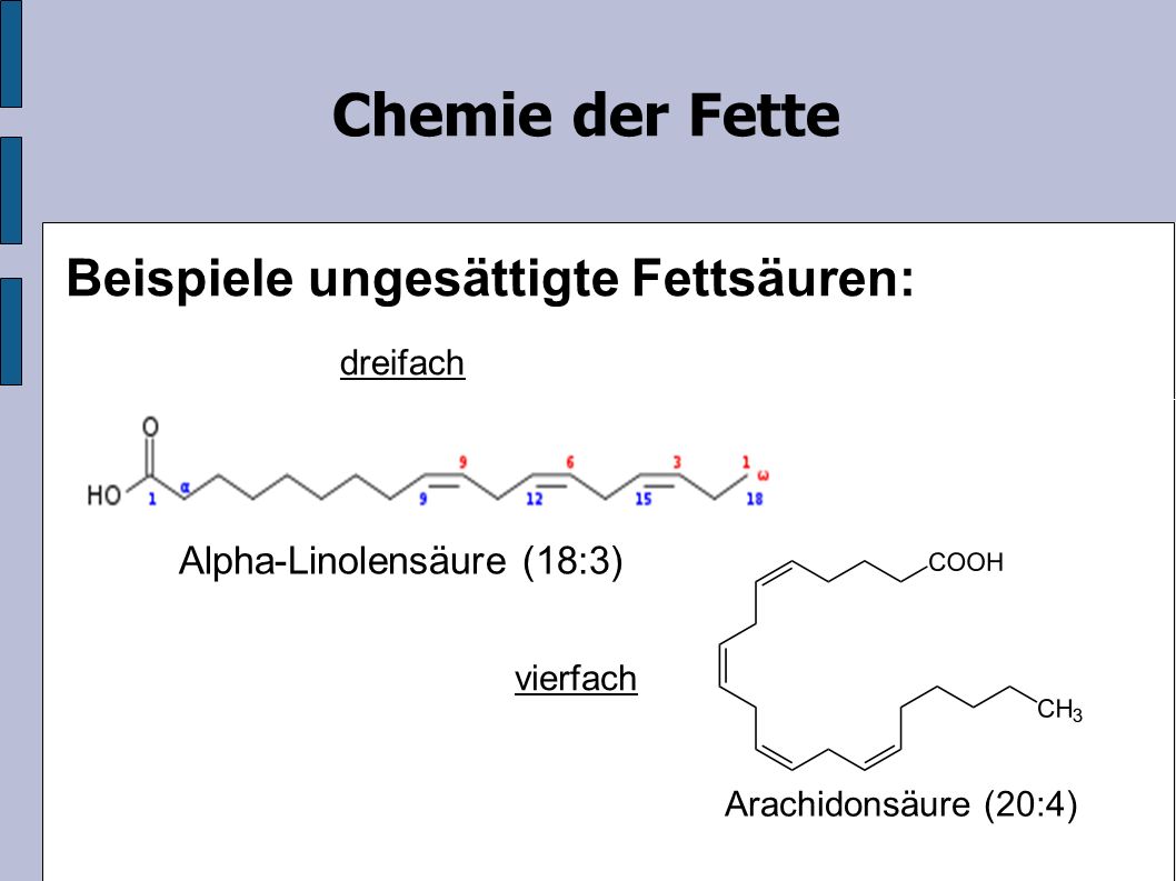 Chemie der Fette Beispiele ungesättigte Fettsäuren: dreifach Arachidonsäure (20:4) vierfach Alpha-Linolensäure (18:3)
