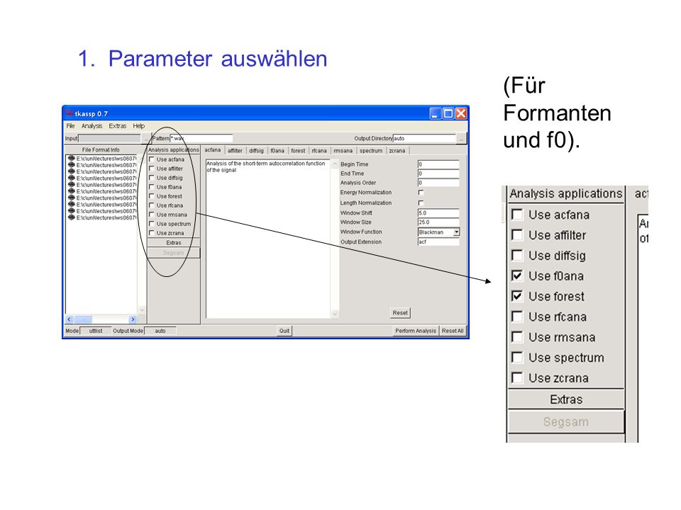 1. Parameter auswählen (Für Formanten und f0).