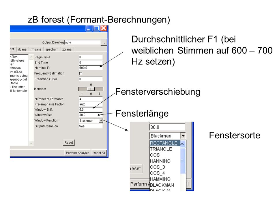 zB forest (Formant-Berechnungen) Fensterlänge Fensterverschiebung Durchschnittlicher F1 (bei weiblichen Stimmen auf 600 – 700 Hz setzen) Fenstersorte