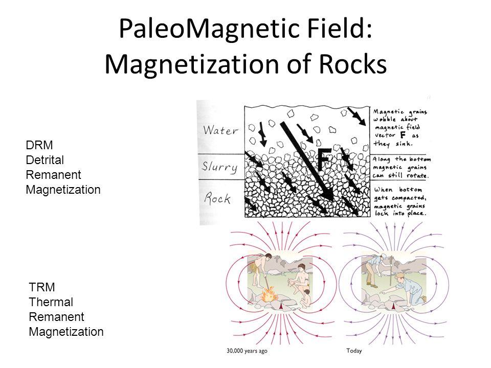 PaleoMagnetic Field: Magnetization of Rocks DRM Detrital Remanent Magnetization TRM Thermal Remanent Magnetization