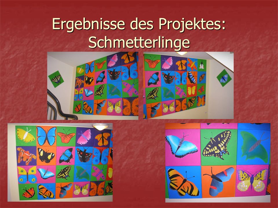 Ergebnisse des Projektes: Schmetterlinge