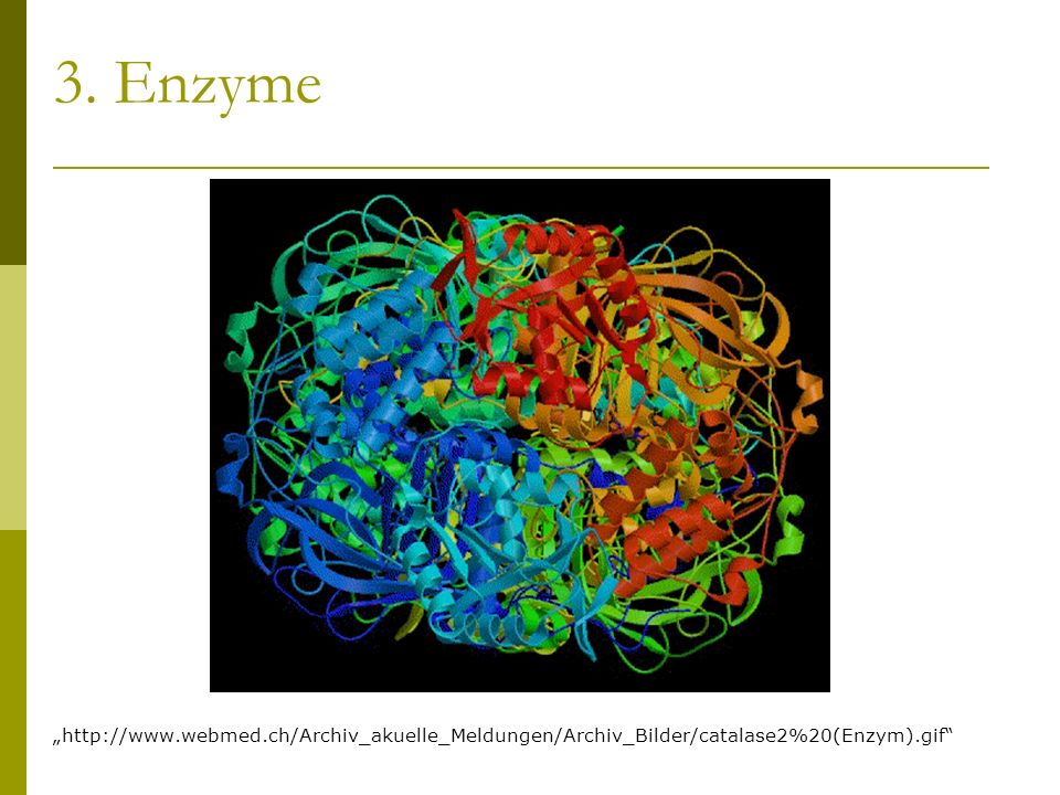 3. Enzyme
