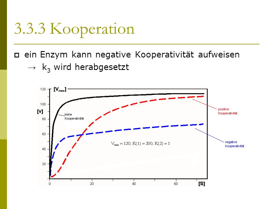 ein Enzym kann negative Kooperativität aufweisen k 3 wird herabgesetzt