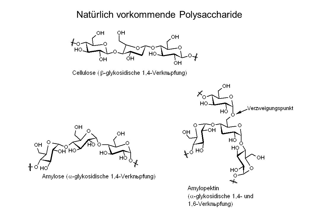 Natürlich vorkommende Polysaccharide