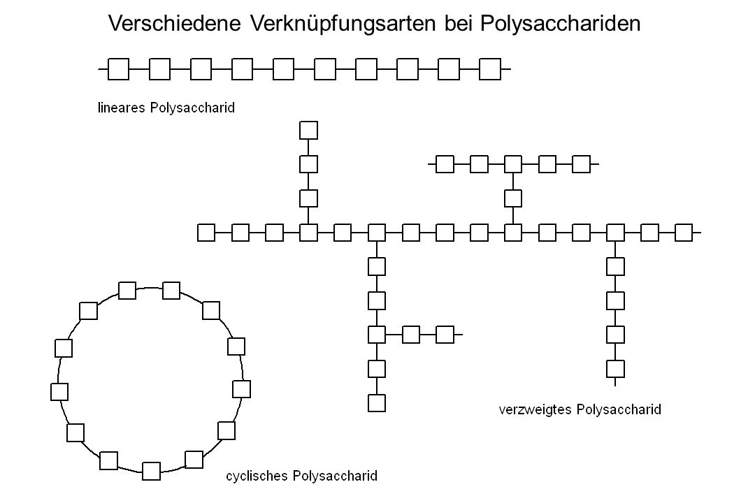 Verschiedene Verknüpfungsarten bei Polysacchariden