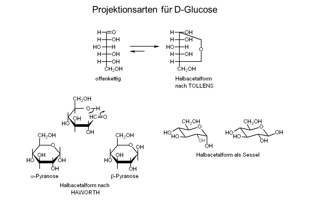 Projektionsarten für D-Glucose