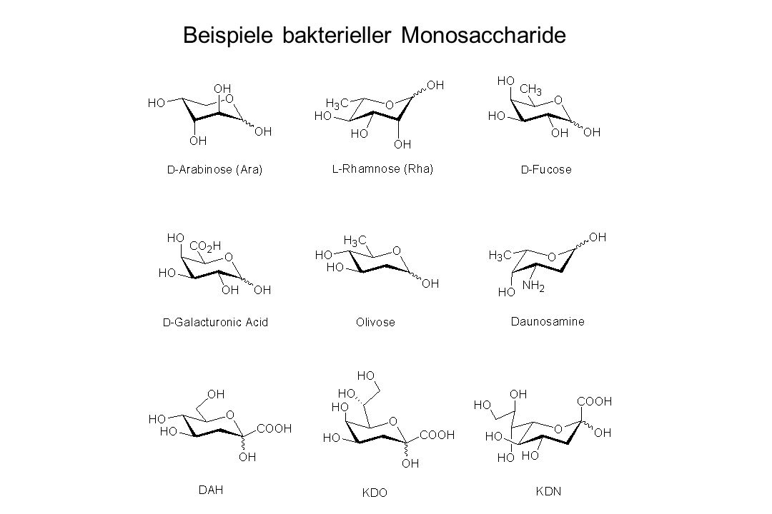 Beispiele bakterieller Monosaccharide